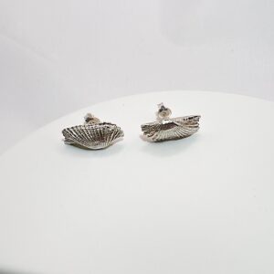 Kolczyki muszle Bałtyk duże