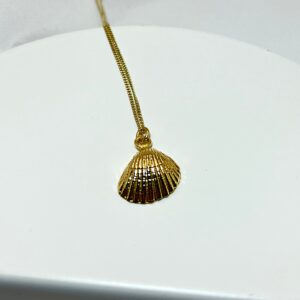Muszla naszyjnik